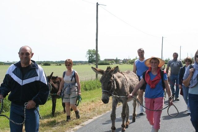 2015-07-06 rando anes (31).JPG